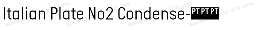 Italian Plate No2 Condense字体转换